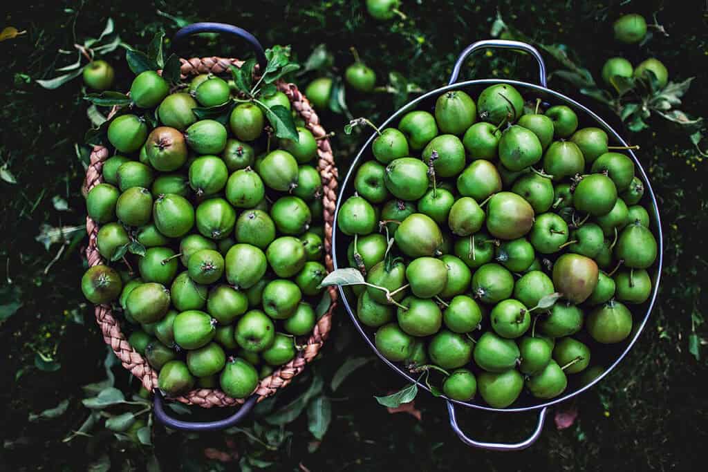 Green apples in 2 buckets.