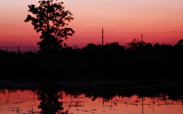 Surin Thailand