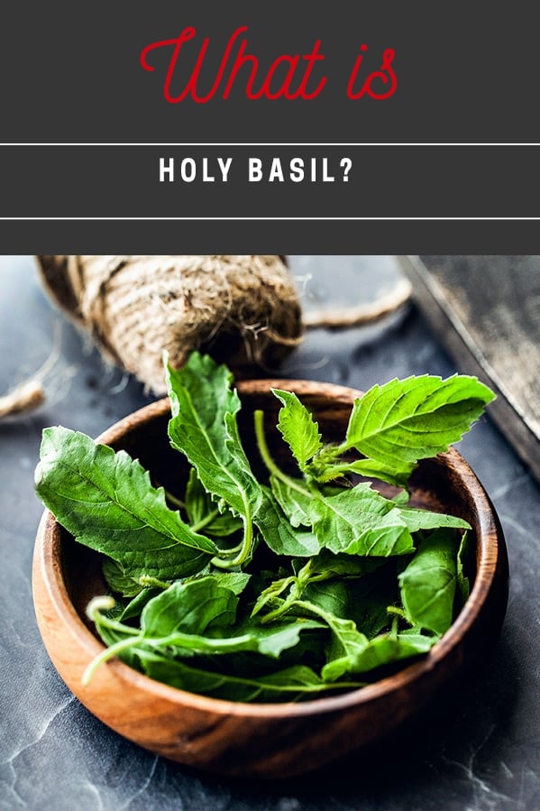 What is holy basil. What does holy basil look like. How to buy the correct kind of basil for Thai basil chicken recipe. How to identify holy basil. 