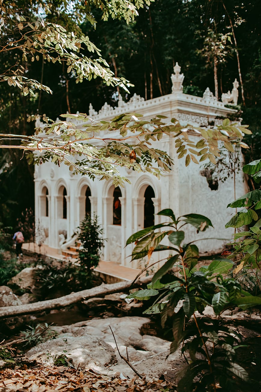 A monk's trail, Chiangmai, Thailand