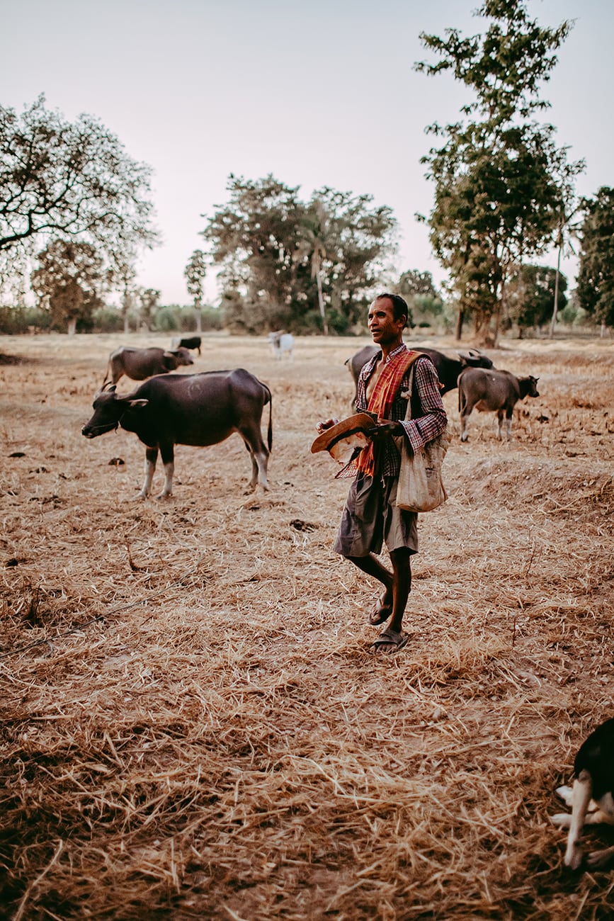 Thailand Rice Farmer