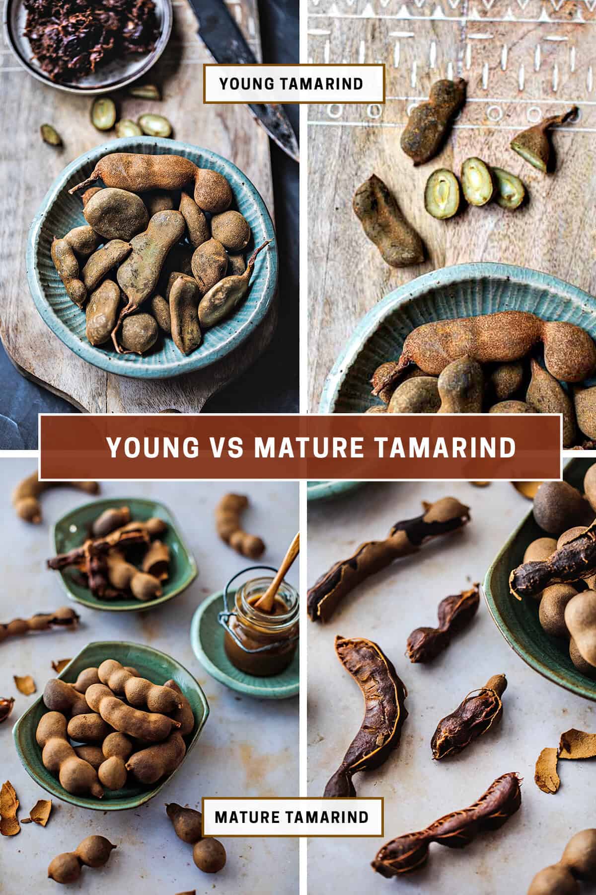 Young vs mature tamarind collage.