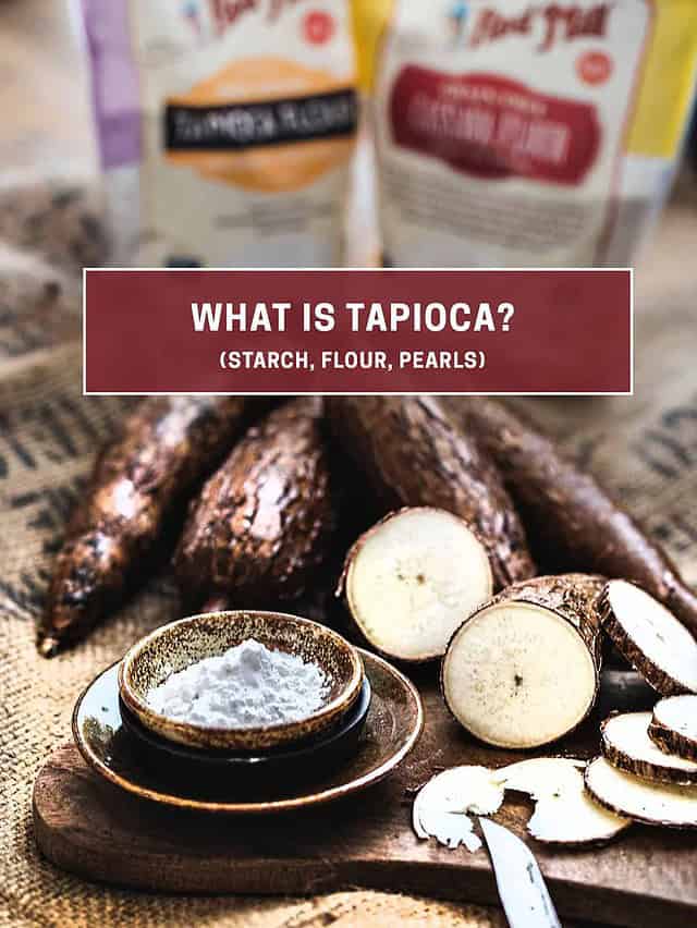 What is Palm Sugar (Substitutes and Uses in Thai cooking) Simply Suwanee