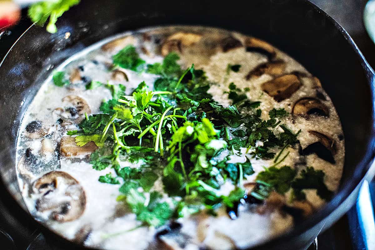 Cilantro in a pot for Tom Kha soup.