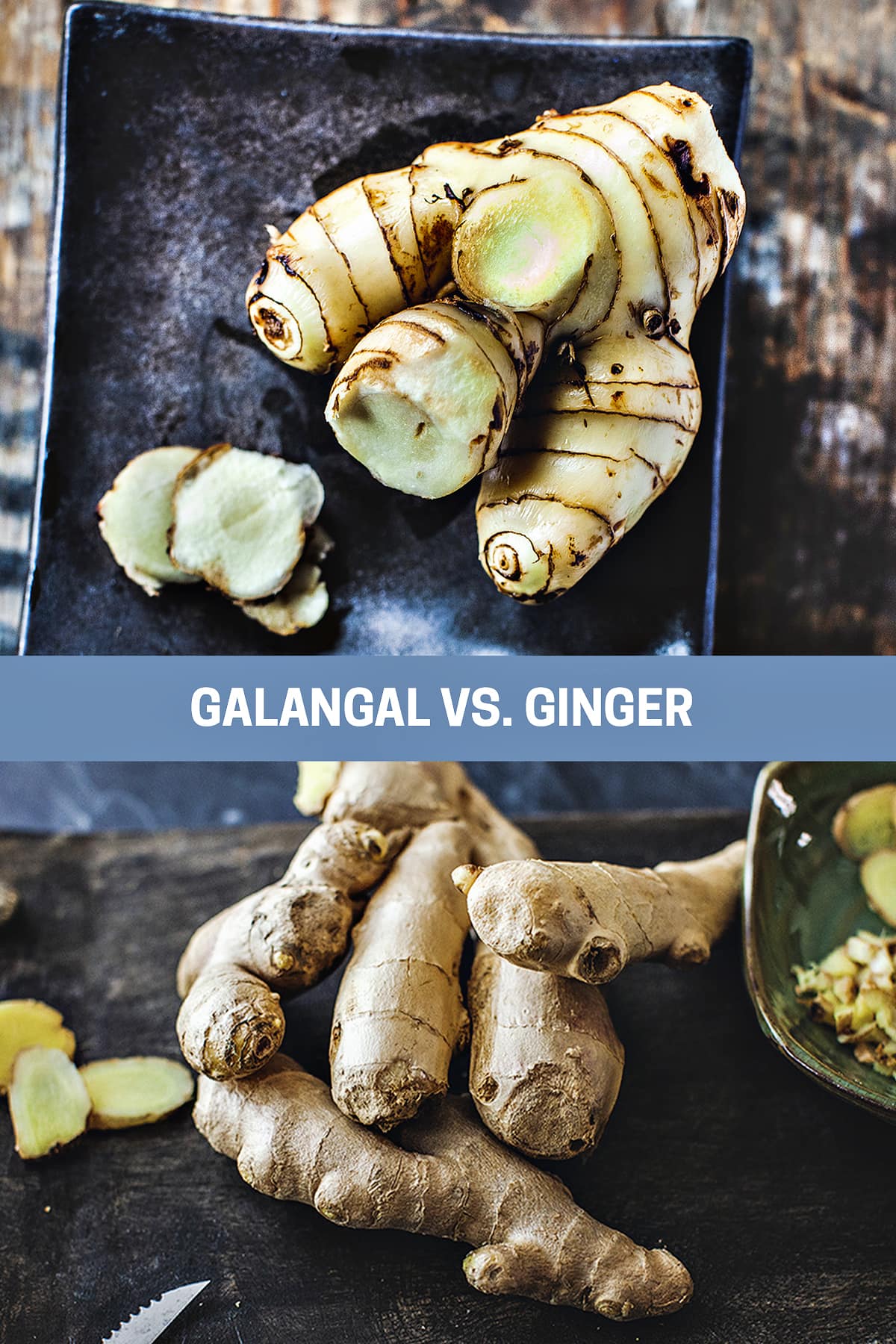 Collage of galangal vs ginger pictures.