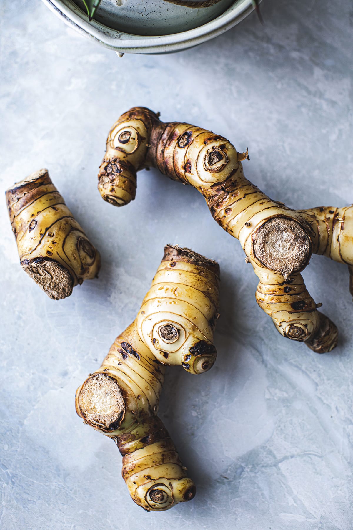 3 Galangal roots on the counter.