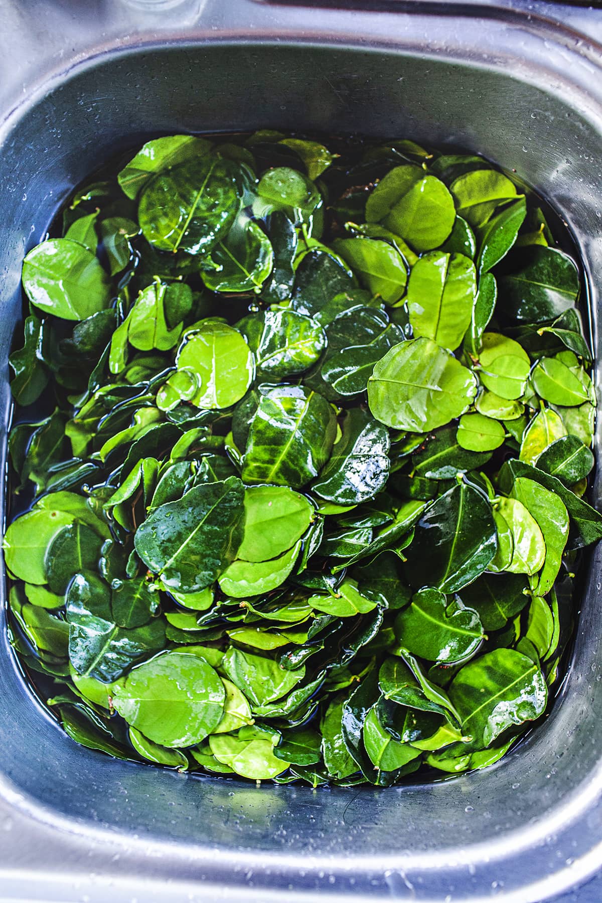 lime leaves in a sink