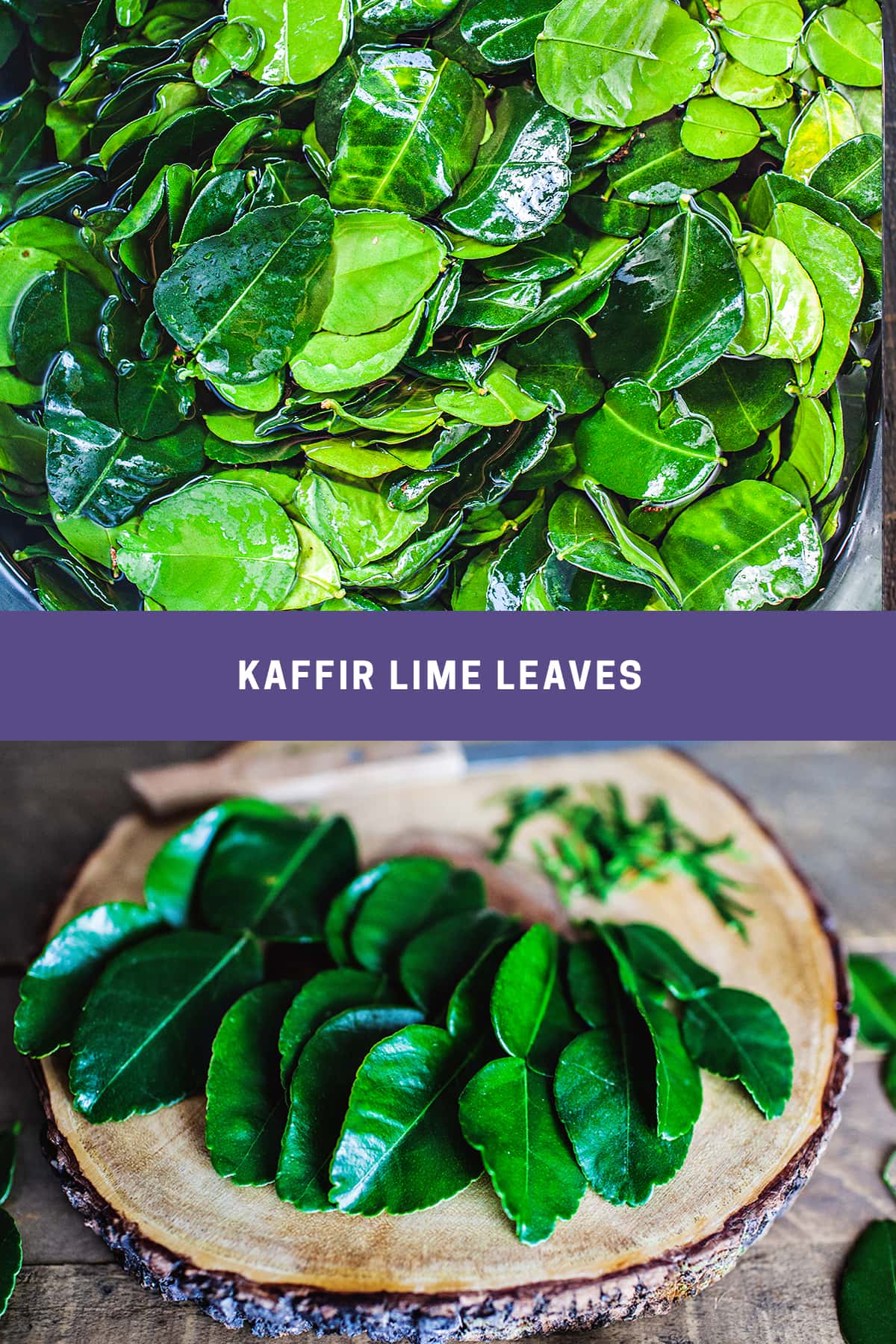 collage of 2 pictures of kaffir leaves