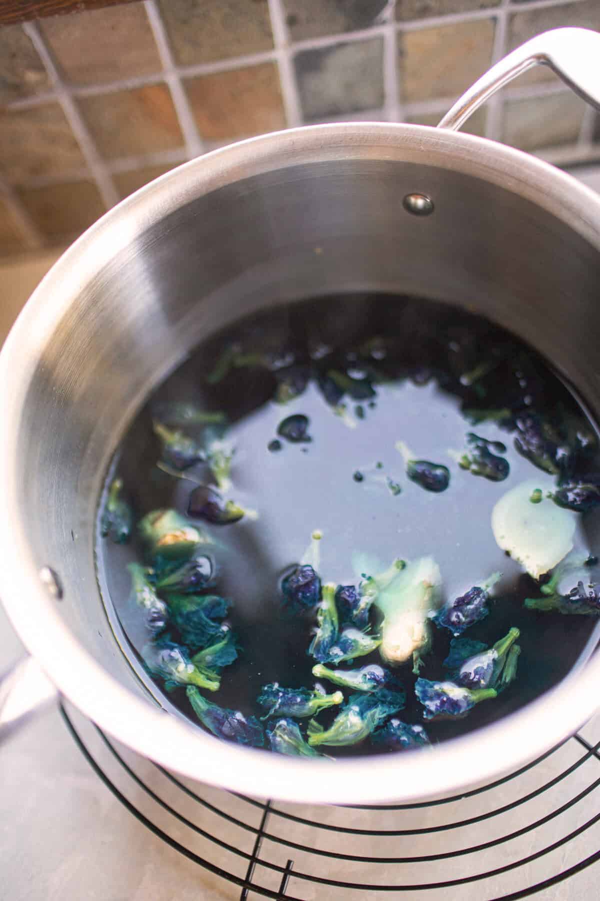 butterfly blue tea steeping in a pot. 