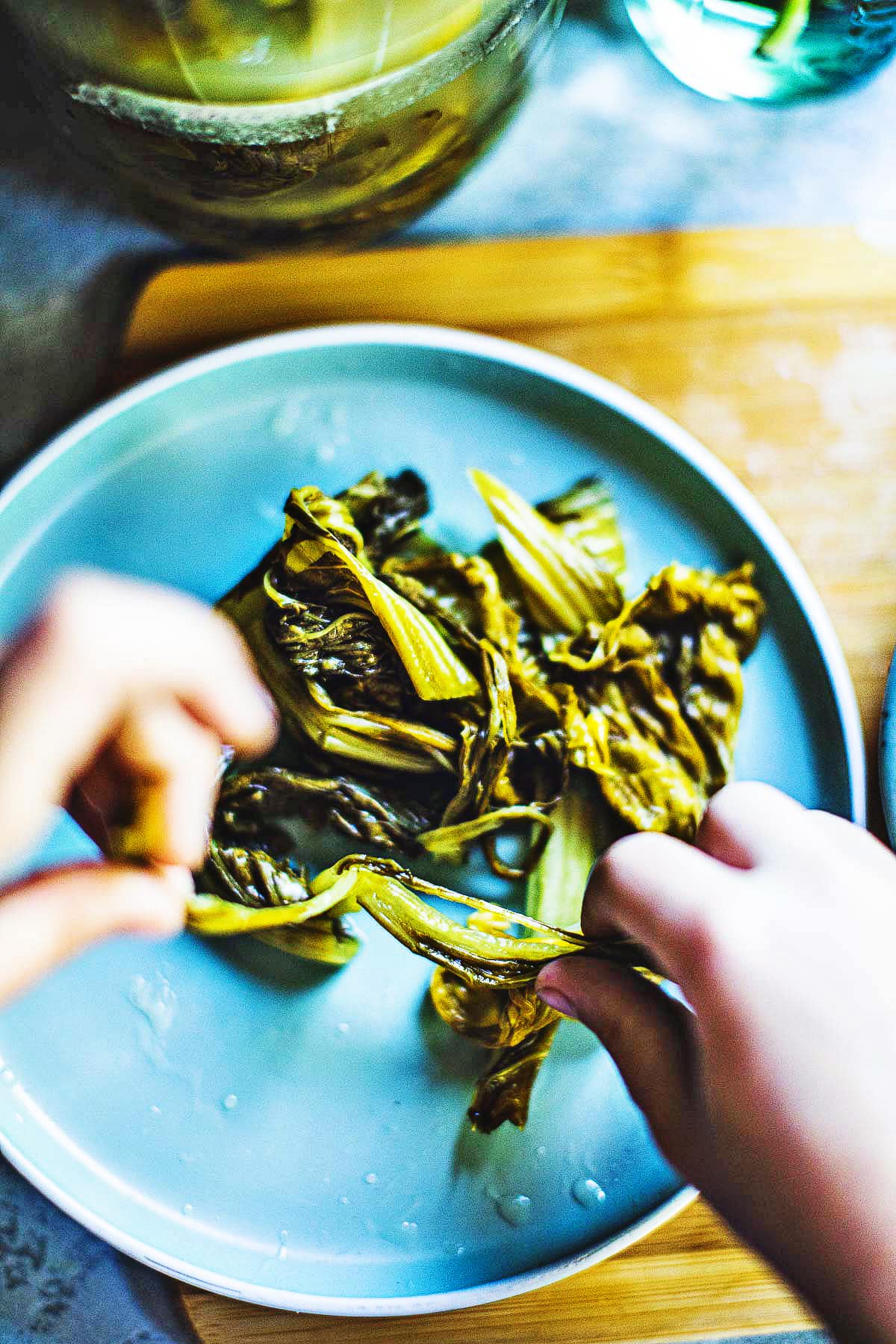 hand tearing into pickled mustard greens