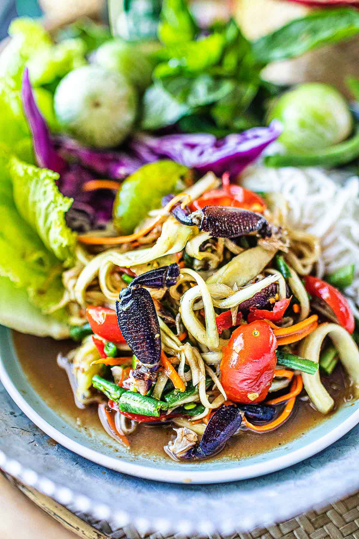 lao salad with veggies garnish 