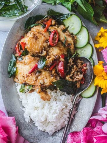 thai spicy catfish recipe in plate with rice and spoon
