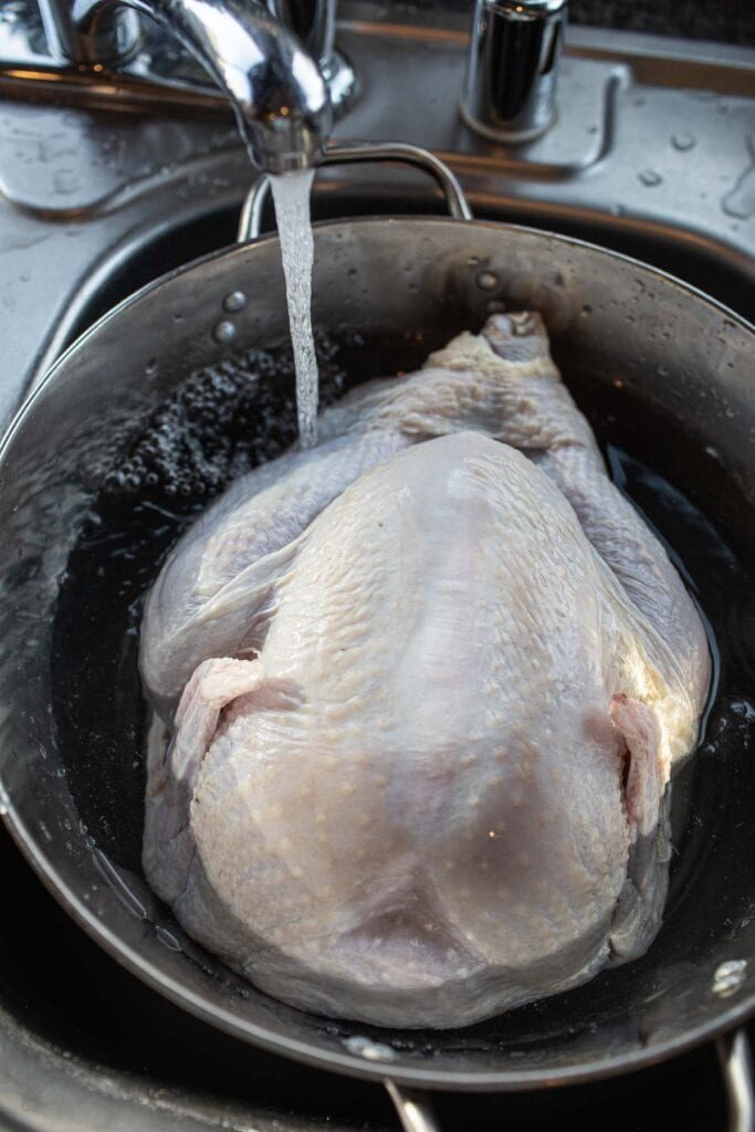 turkey rinsed in an ice bucket over sink.
