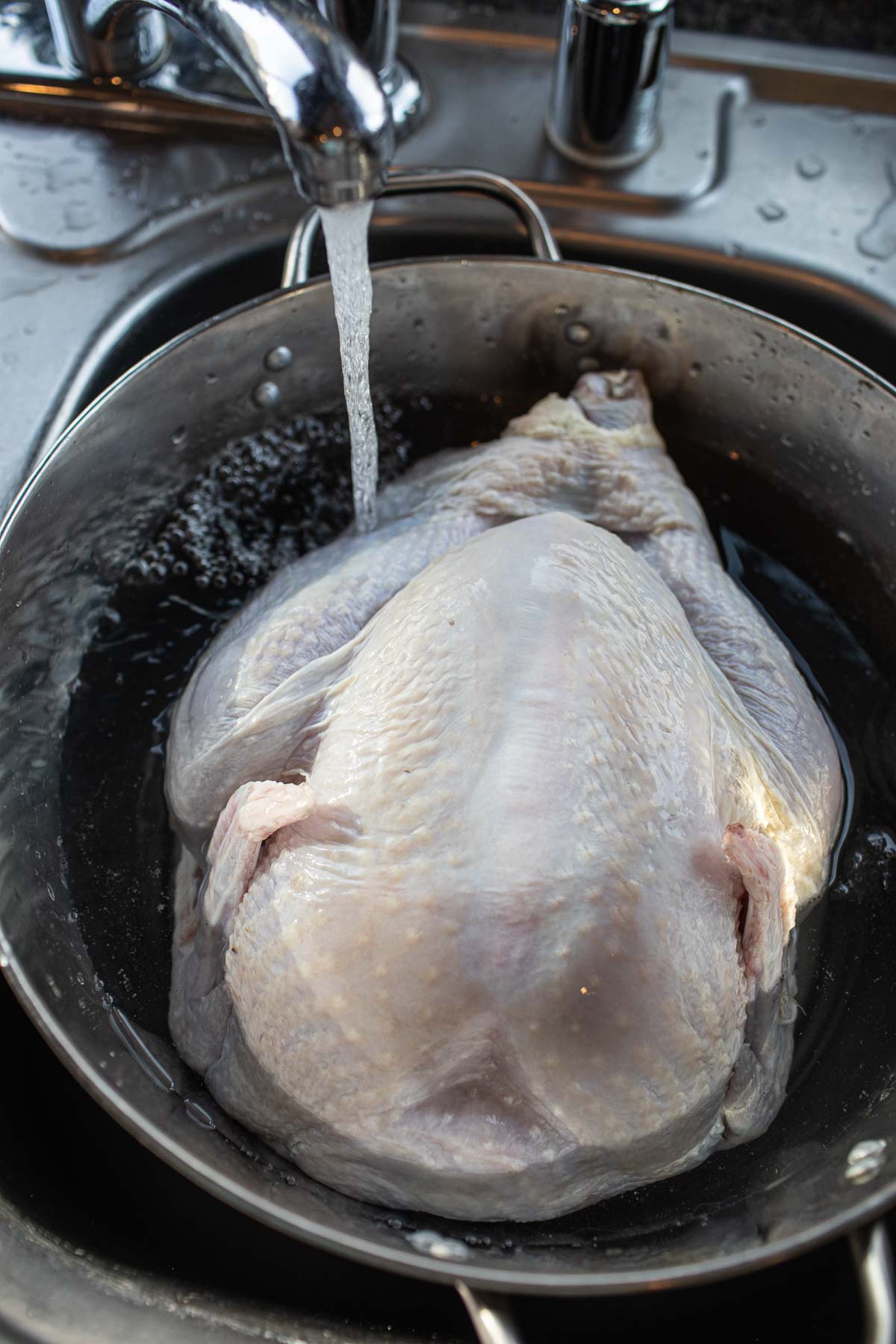 turkey rinsed in an ice bucket over sink