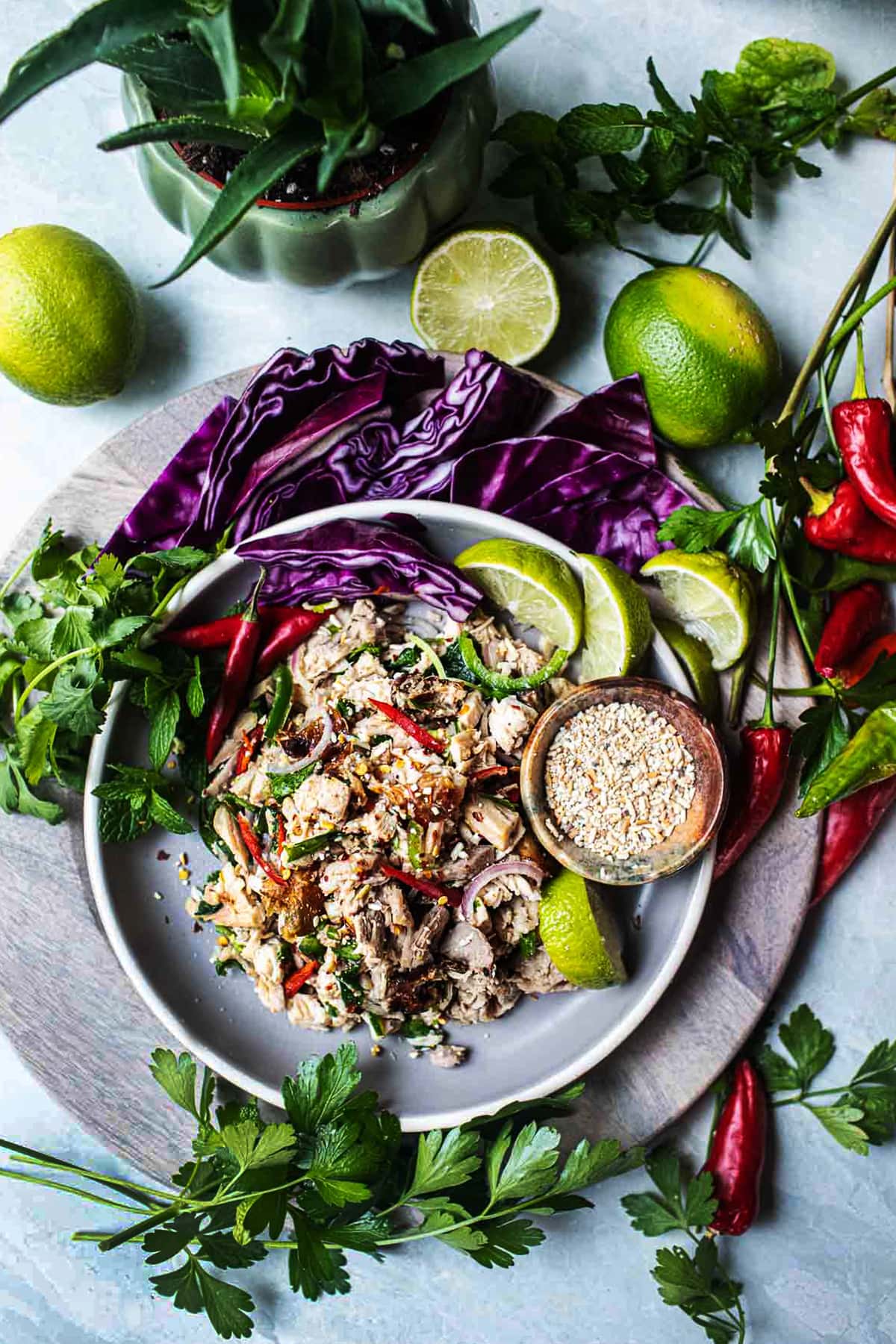 larb turkey on a plate with toasted rice garnish 