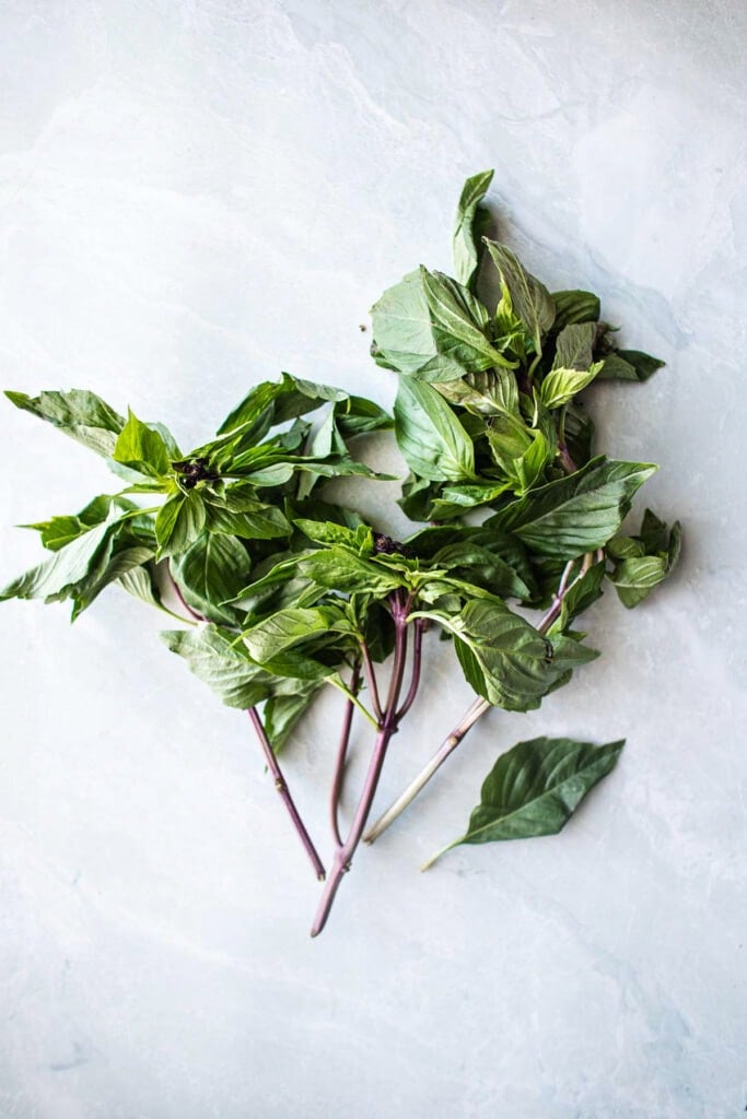 Thai Basil on table. 