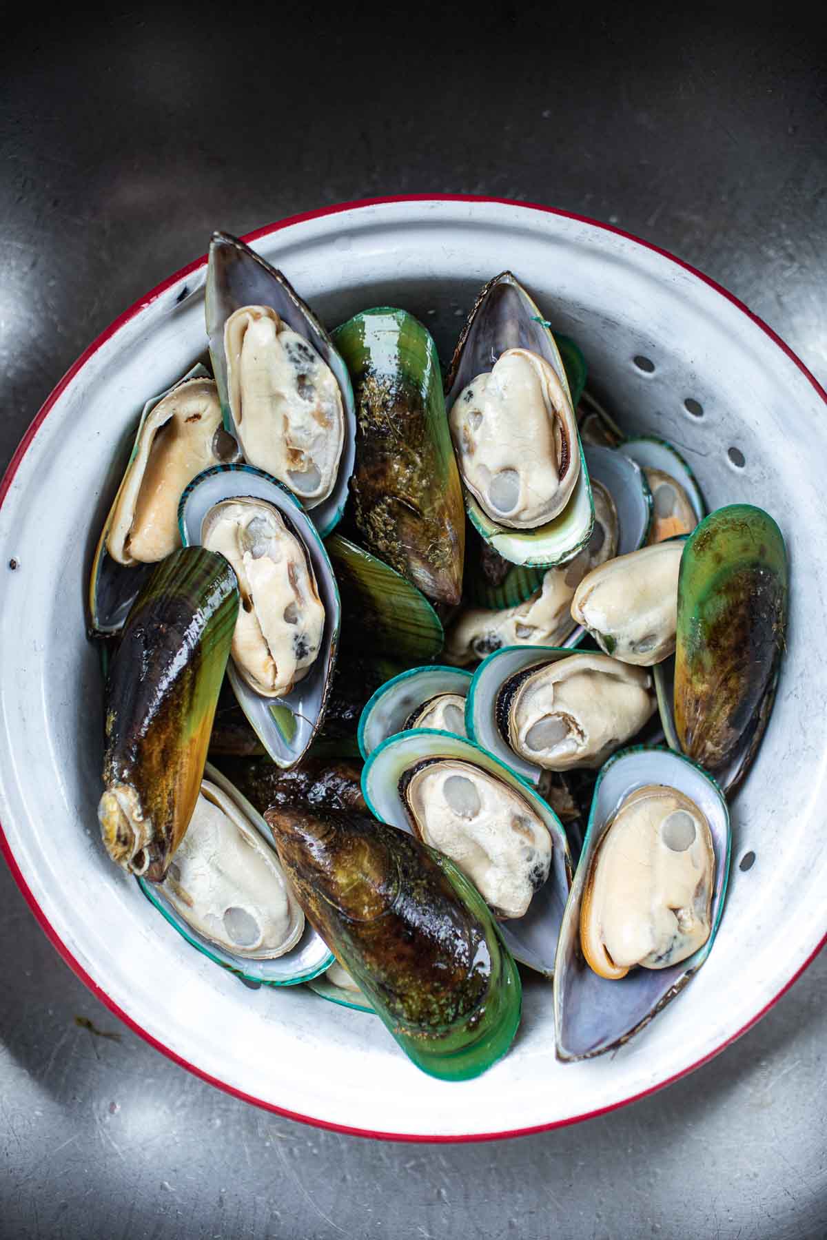 greenshell mussels in a colander in a sink. 