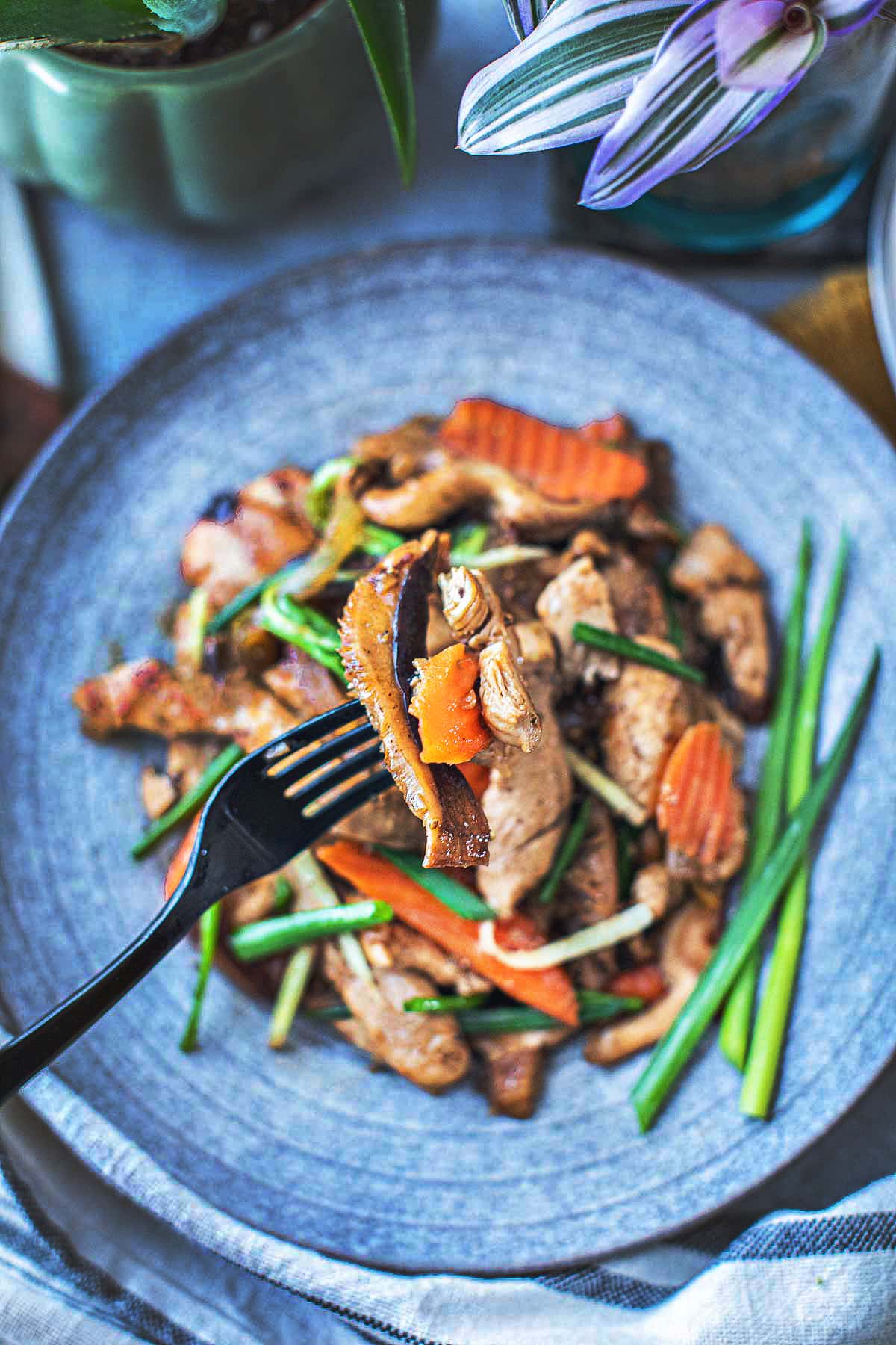 Thai ginger chicken on a plate. 