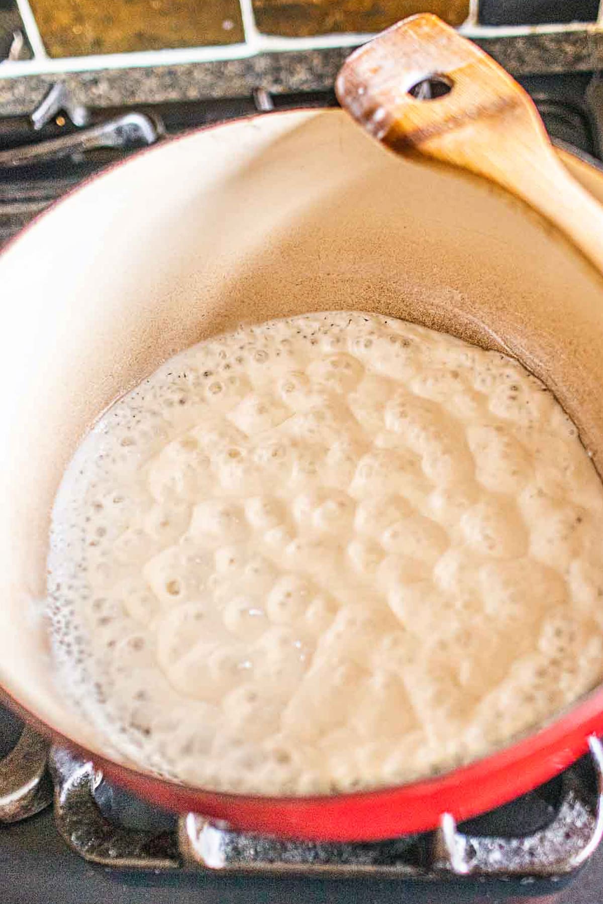 Coconut milk in a stock pot. 