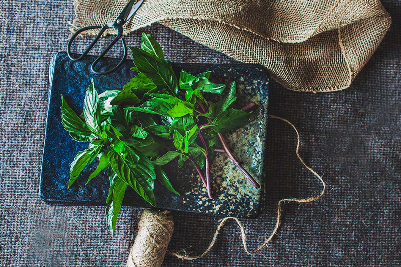 Thai basil on a tray on the table. 