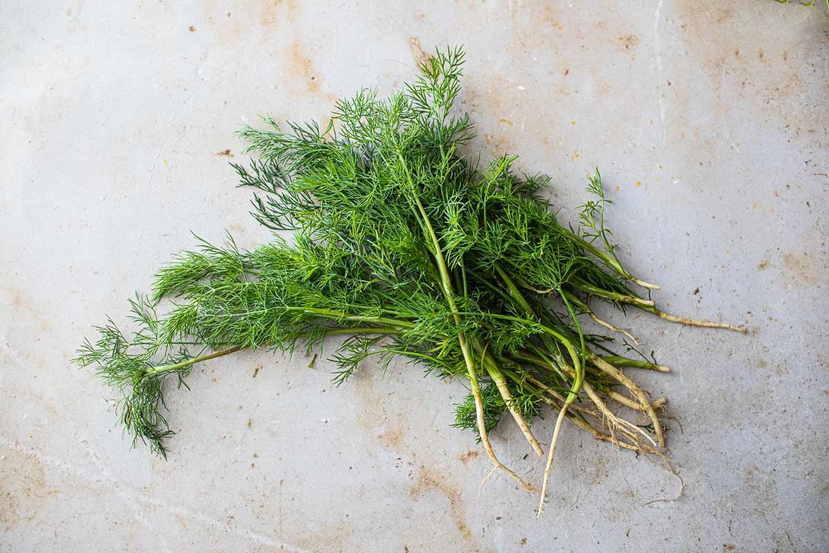 Dill on a table. 