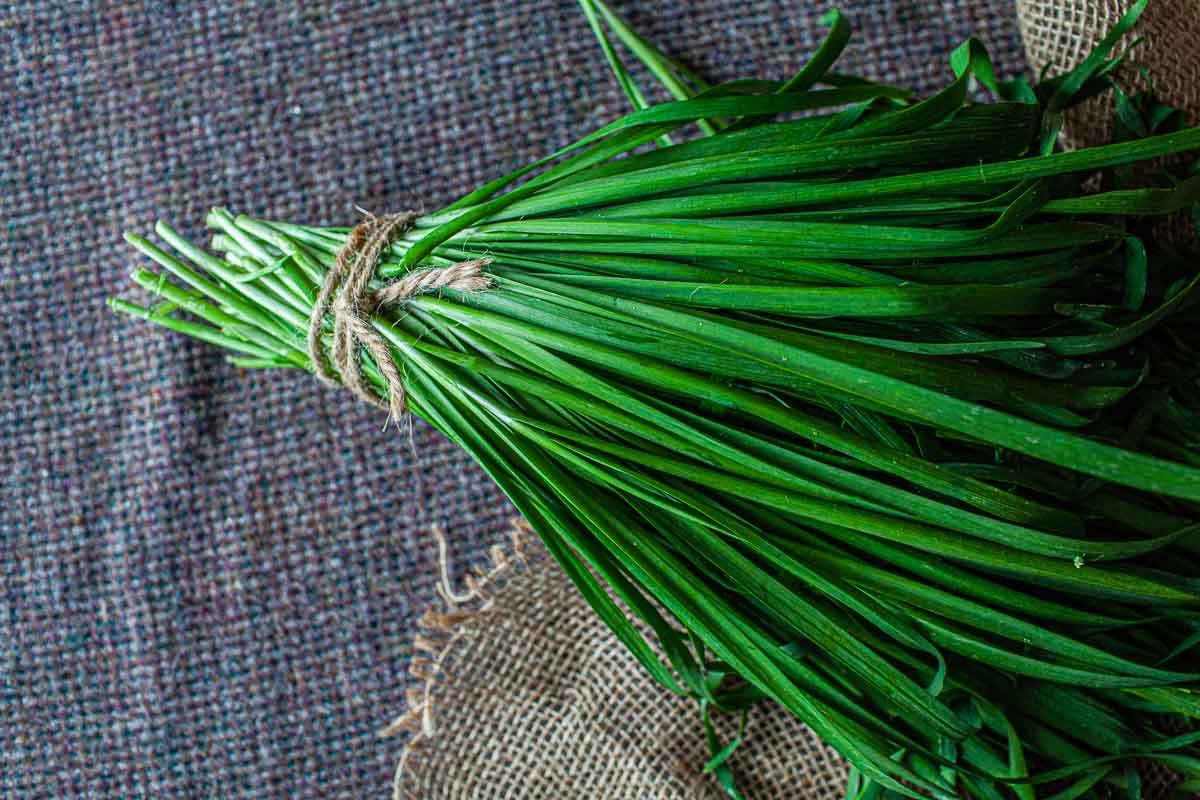 Chives on a table. 