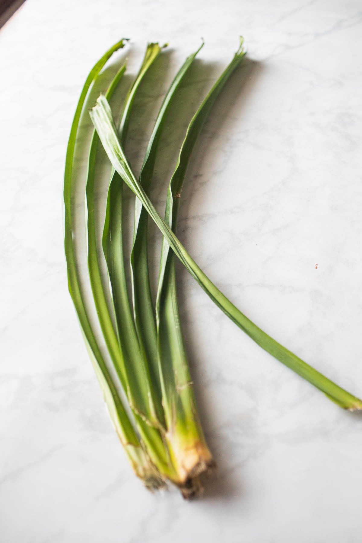 Pandan leaves on a table. 