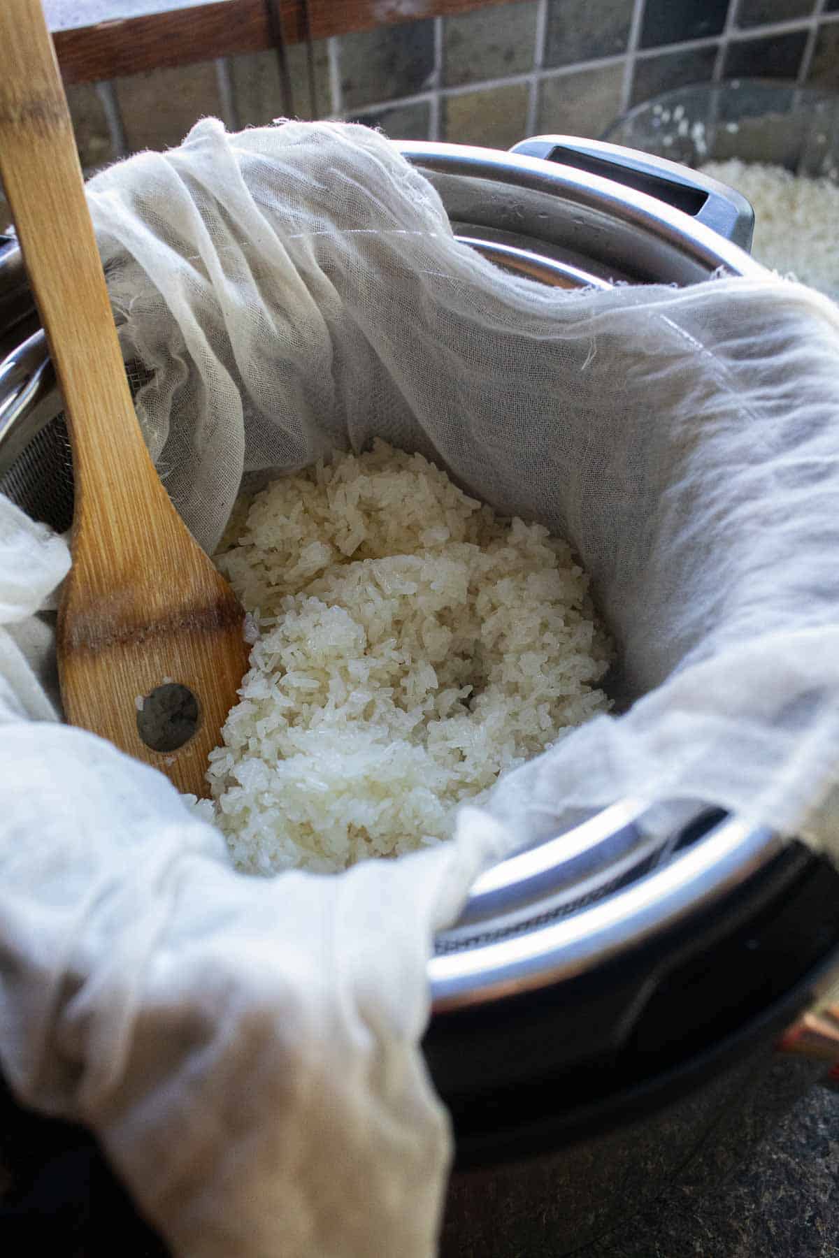 Cooked sticky rice in an instant pot.