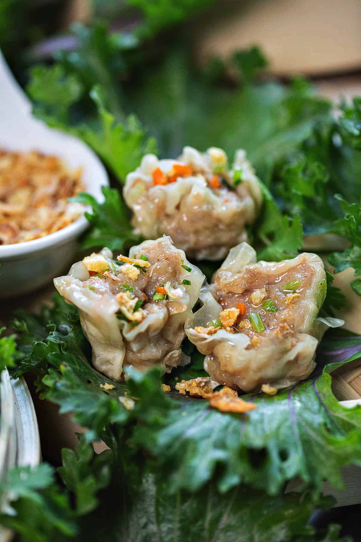 Kanom Jeeb Thai dumplings on lettuce leaves. 