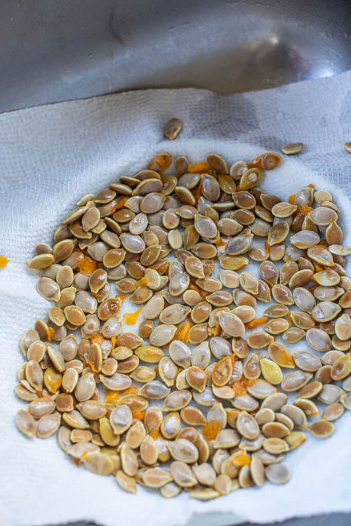 Kabocha squash seeds on paper towel. 