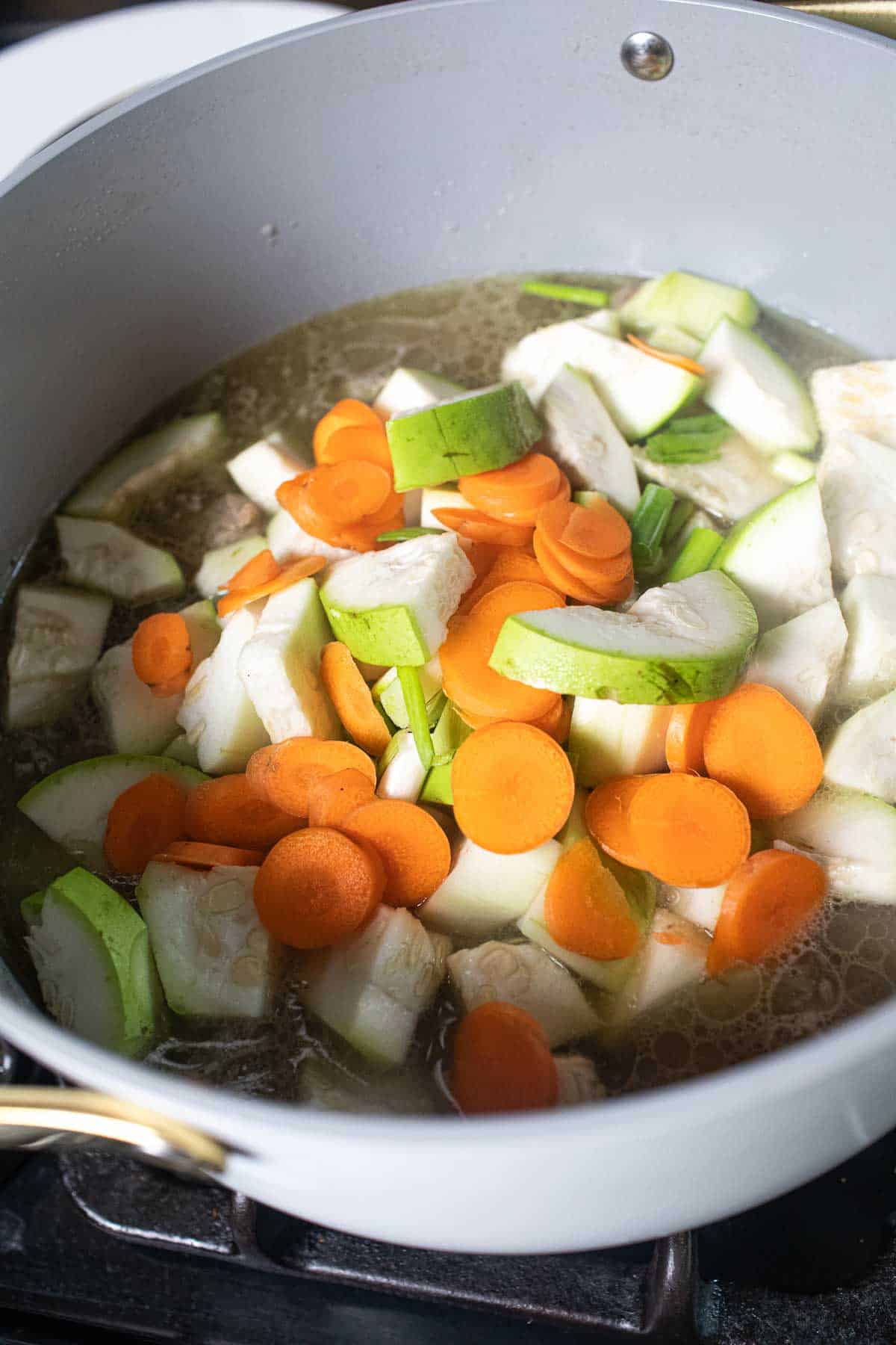 Sliced Winter melon, carrots and green onion in a soup pot. 