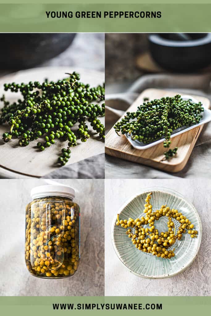 Young green peppercorns in a glass jar and plate. 