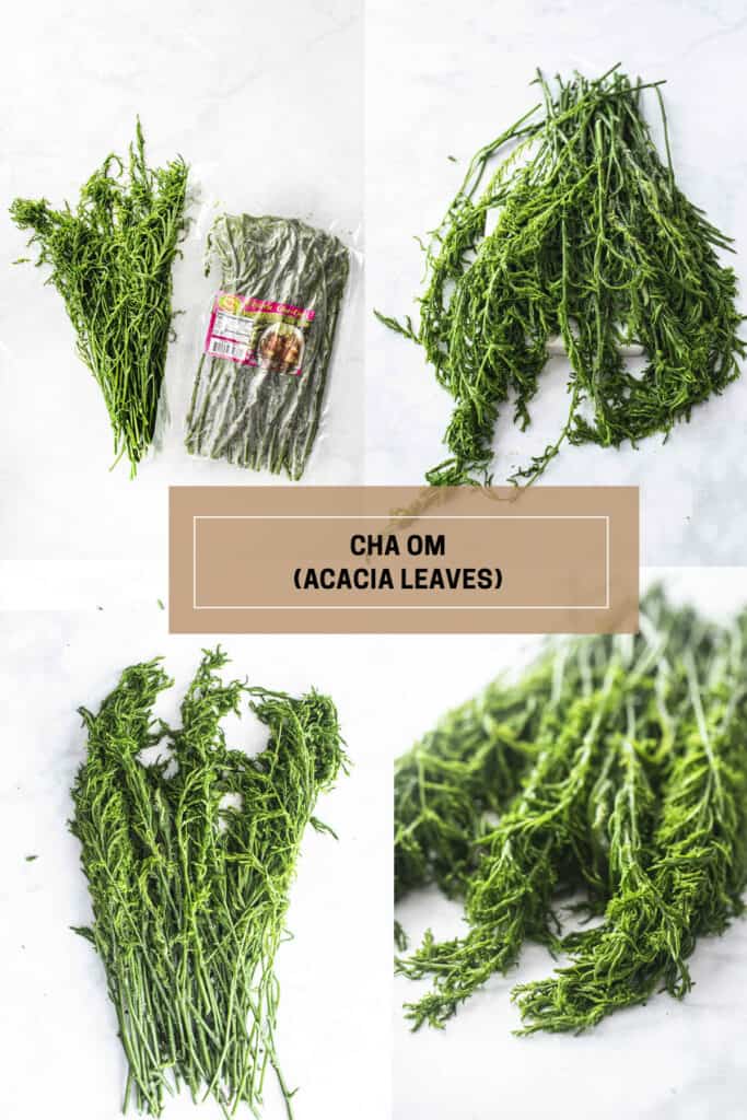Cha Om leaves in 4 image collage. 
