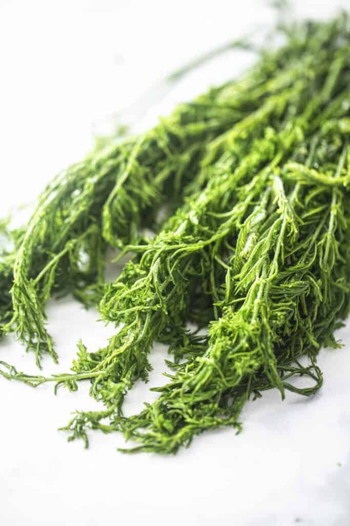 Close up images of Acacia leaves resting on a white table. 