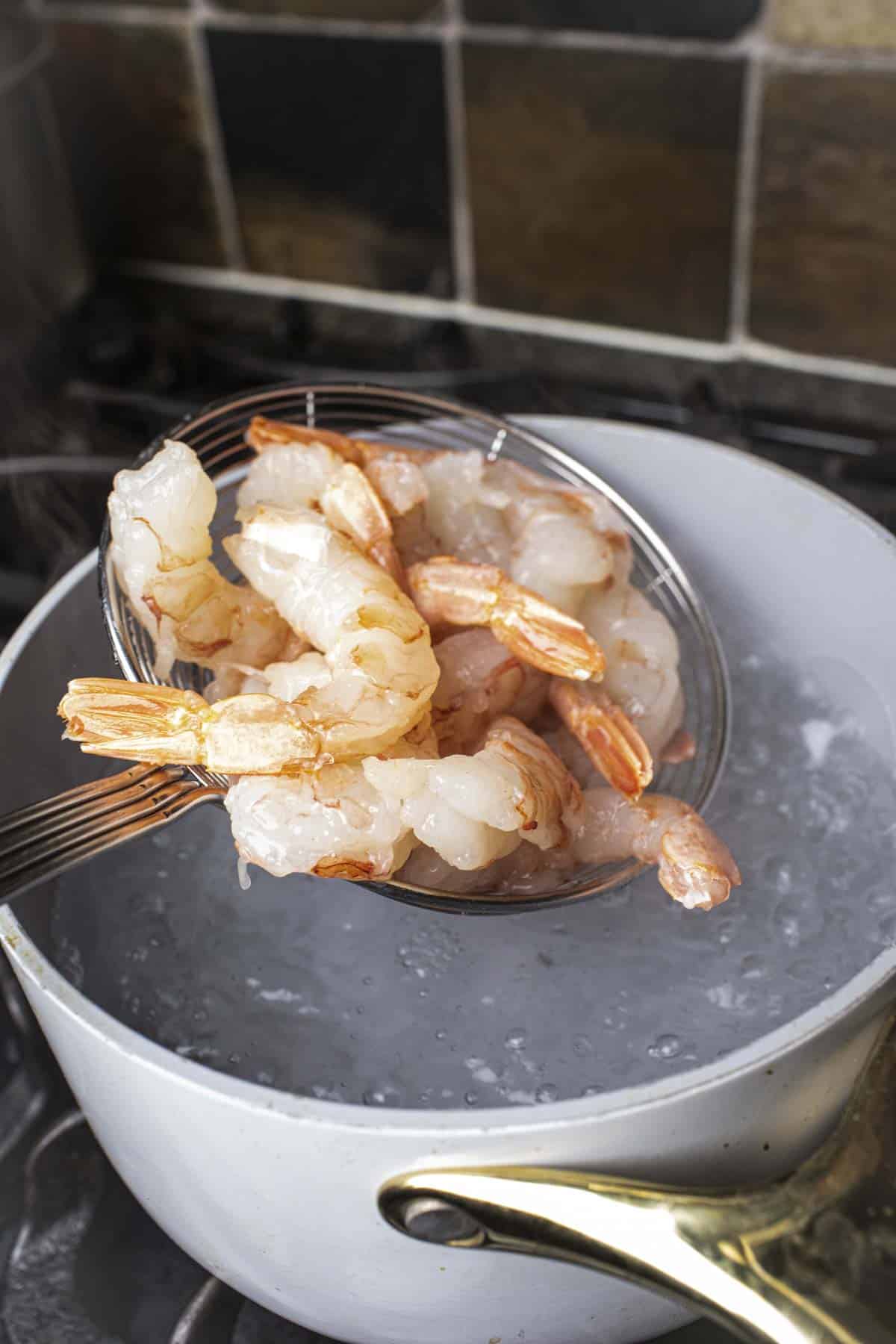 Slooted spoon holding shrimp over a boiling pot of water. 