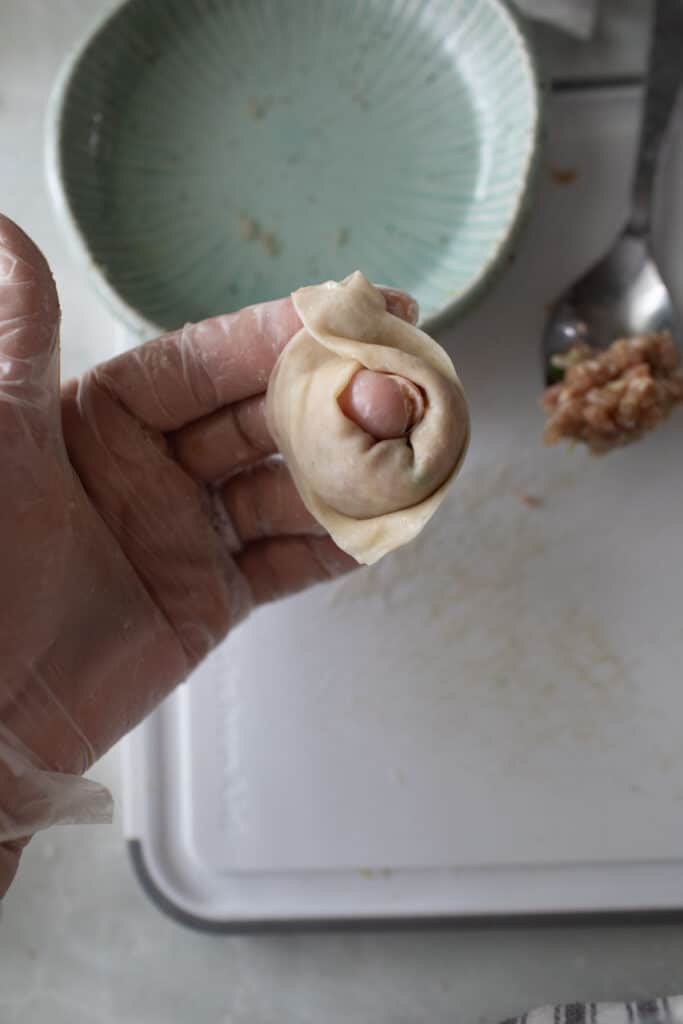 hand holding rolled boat shaped wonton.