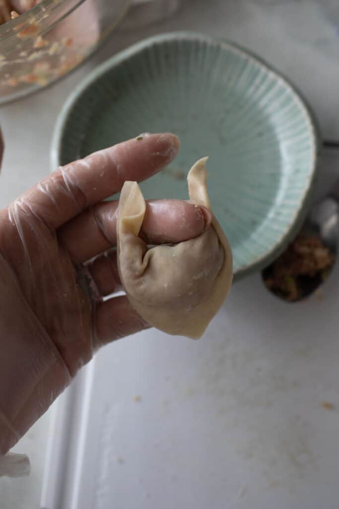 hand holding boat shaped wonton.