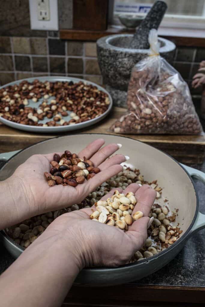 two Hands holding rotted peanuts one with shells and one with no shells.