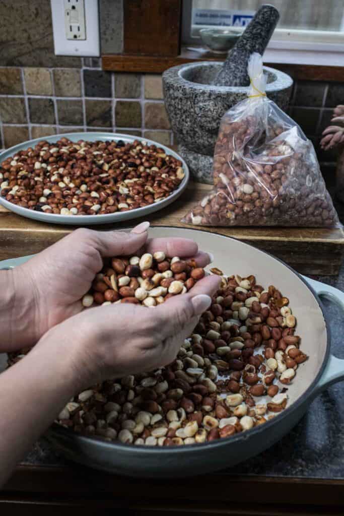 Hands holding rotted peanuts to shell the skin. 