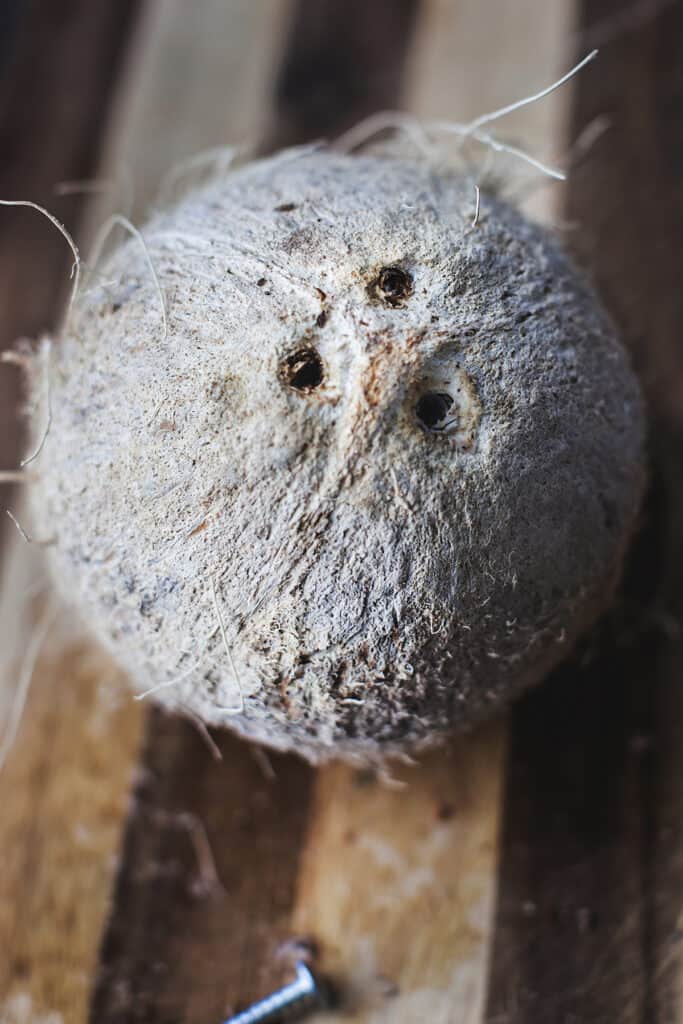 A coconut with 3 eyes on a cutting board. 