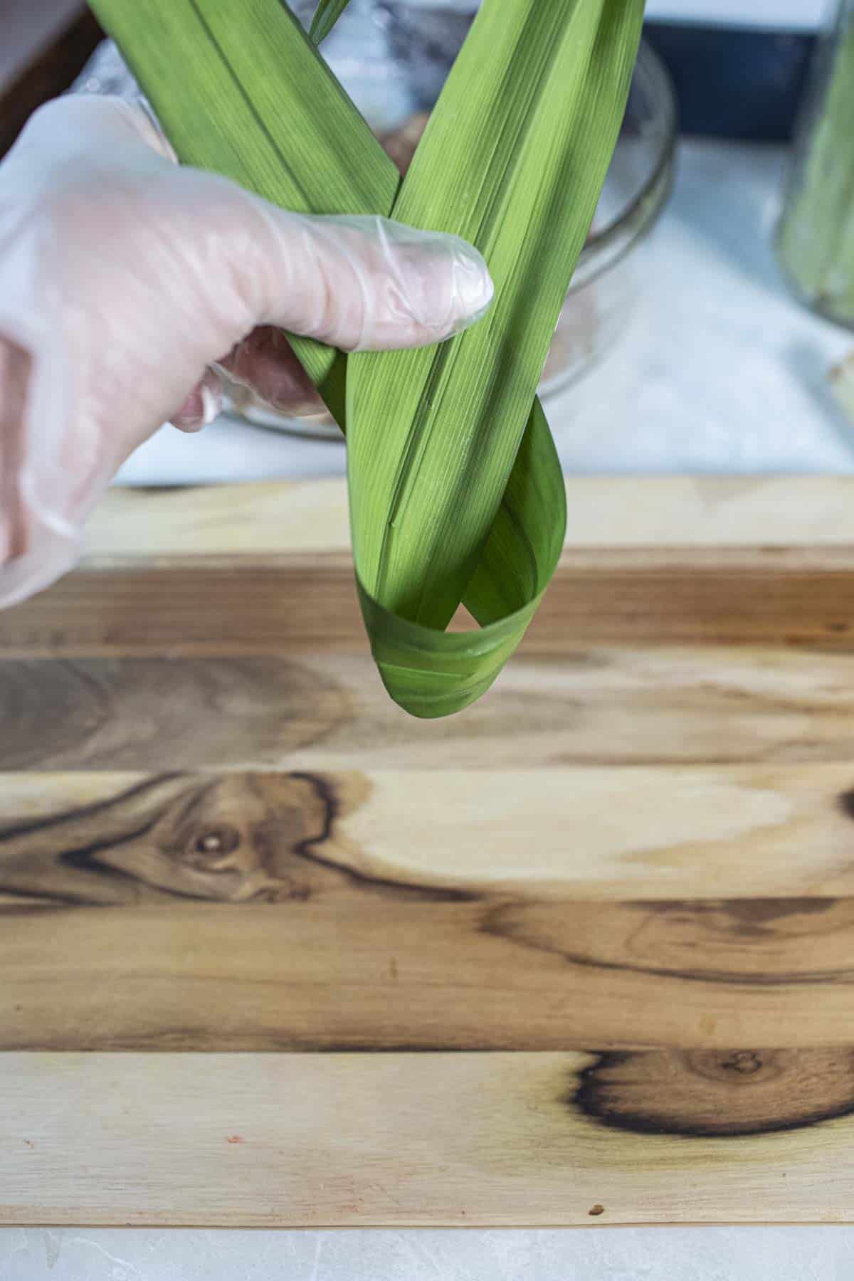 Pandan leaf in a ribboned shaped.