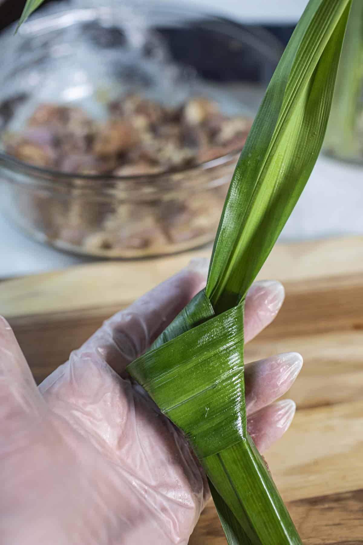 Gloved hand holding wrapped pandan leaf.