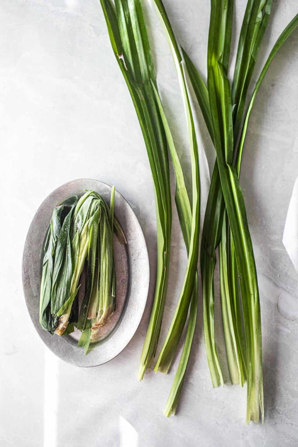 Easy Pandan Tea (Hot or Cold!) - Simply Suwanee