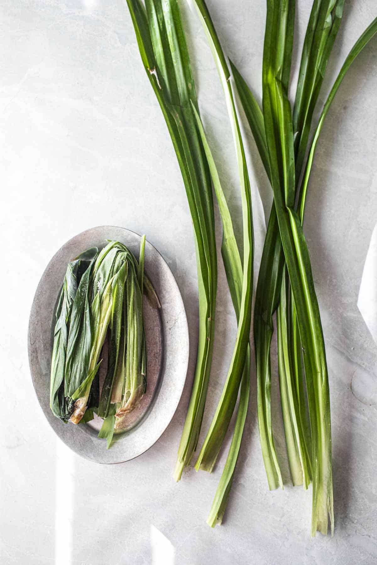 Fresh and frozen Pandan leaves.