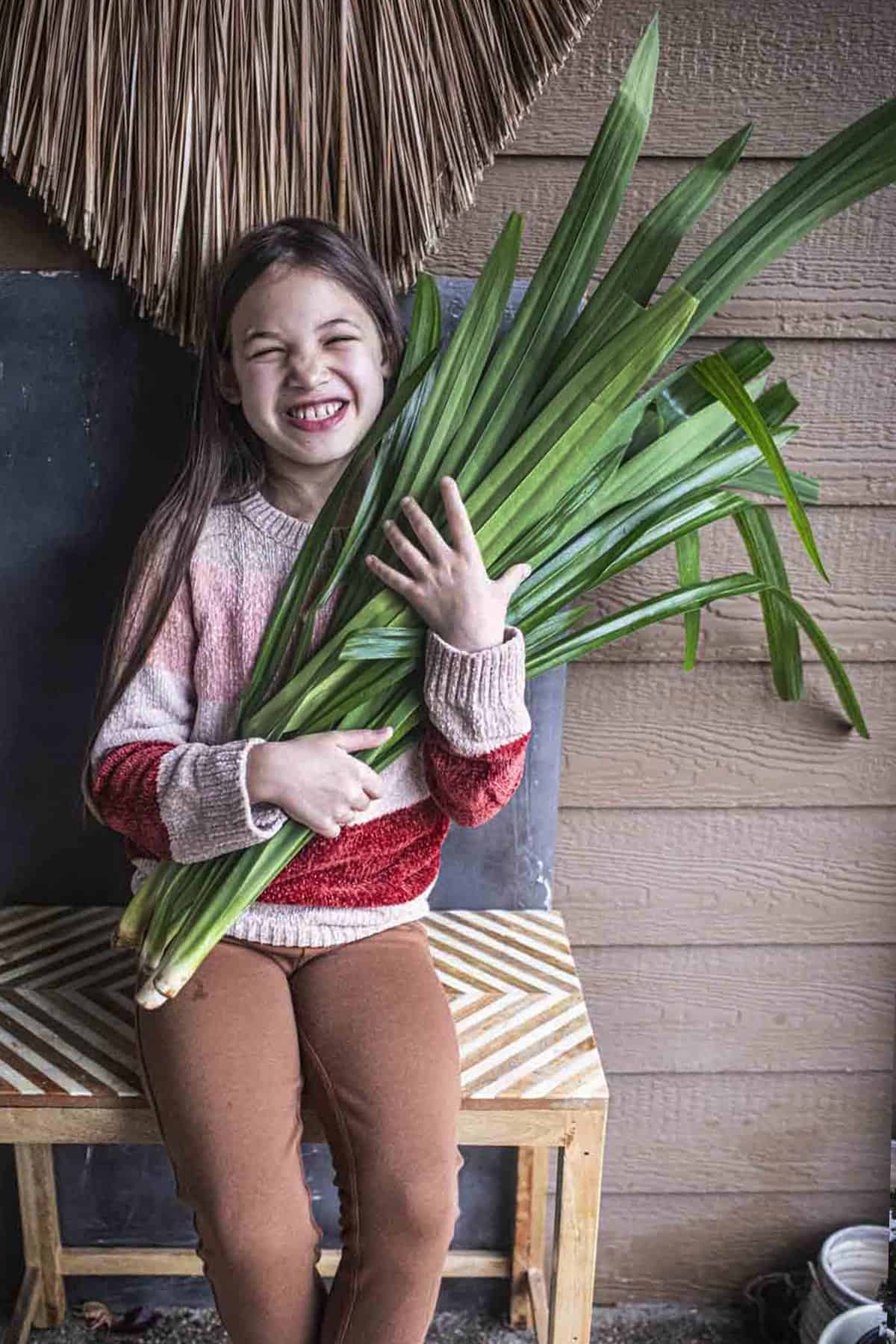 a little girl holding pandan leaves in her arms. 