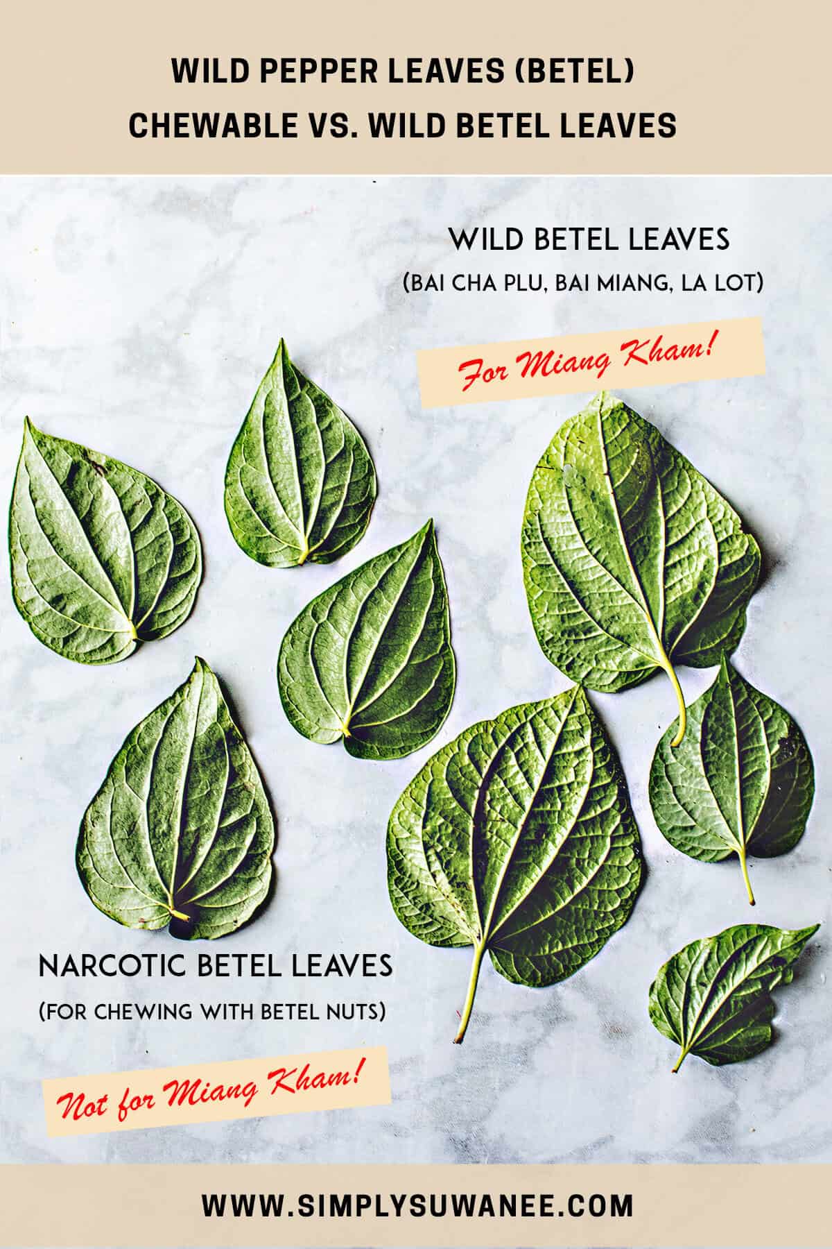 Narcotic vs edible wild pepper leaves. 