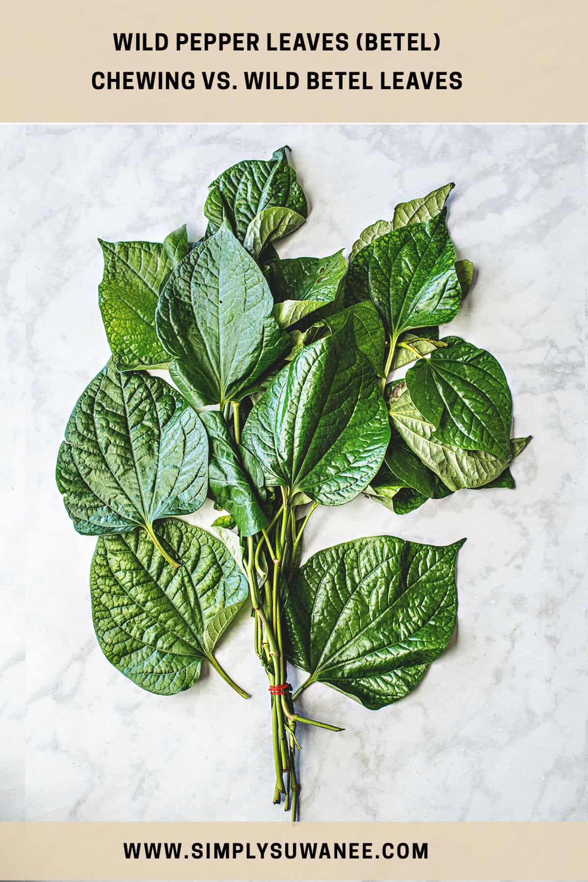 A large bunch of wild betel leaves for Miang Kham on a counter. 