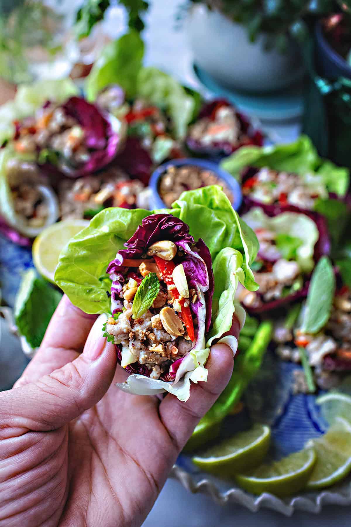 Hand holding pork salad letter wrap.