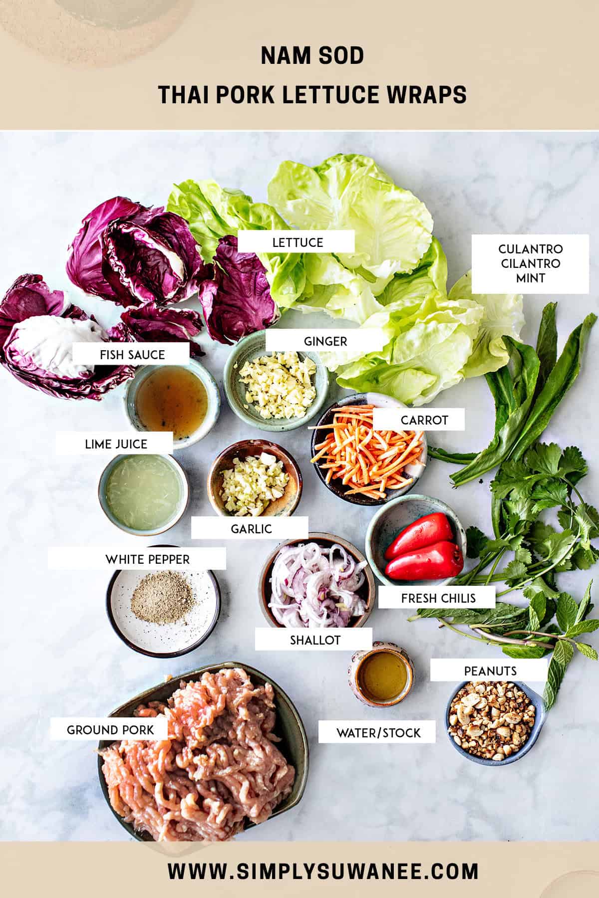 Labeled ingredients for Nam Sod salad on a table. 