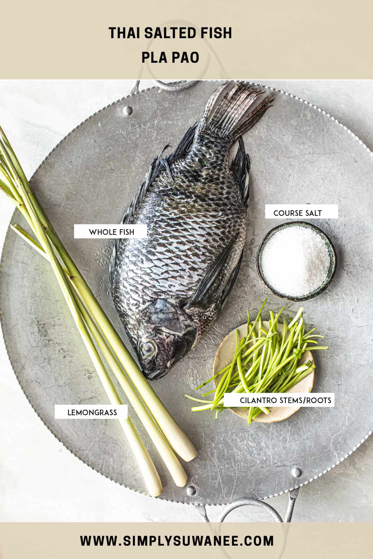 Ingredients for Thai salted fish on a tray. 